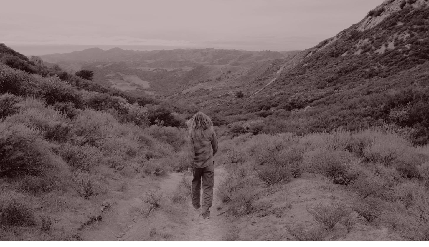 Walking into the landscape